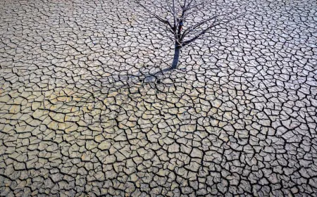 January 2025 was hottest January on record despite factors working against it